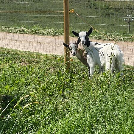 Certine Agriturismo Asciano Kültér fotó