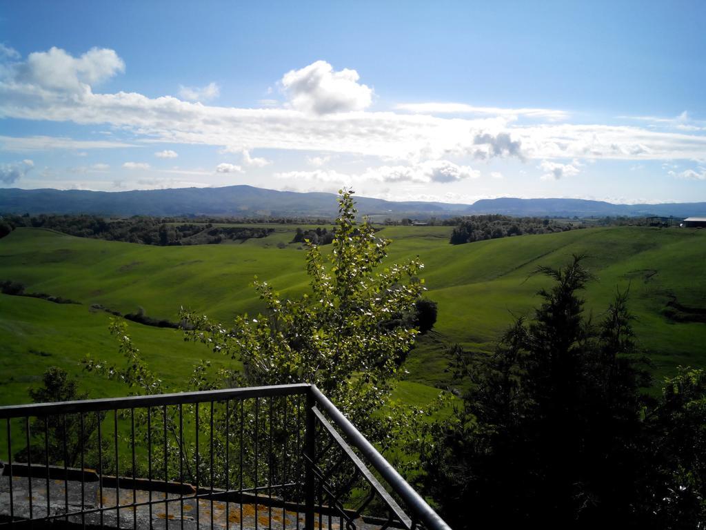 Certine Agriturismo Asciano Kültér fotó