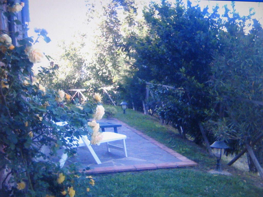 Certine Agriturismo Asciano Kültér fotó