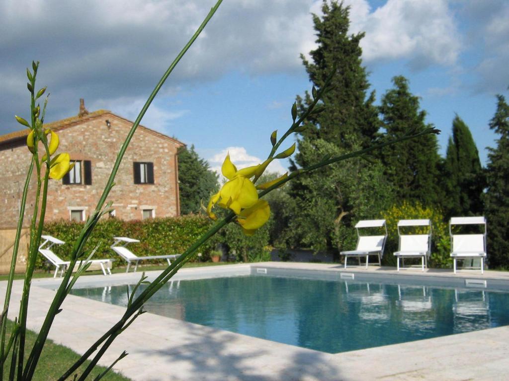 Certine Agriturismo Asciano Kültér fotó