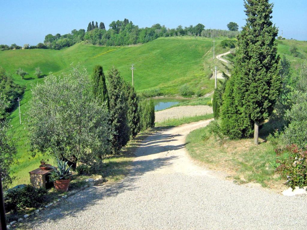 Certine Agriturismo Asciano Kültér fotó