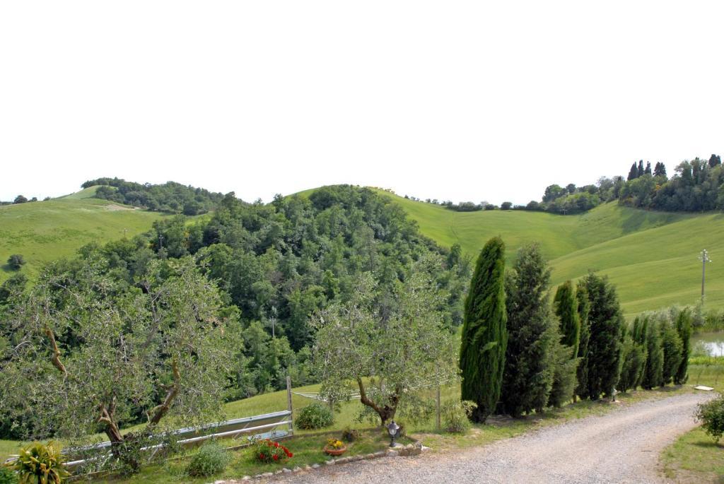 Certine Agriturismo Asciano Kültér fotó