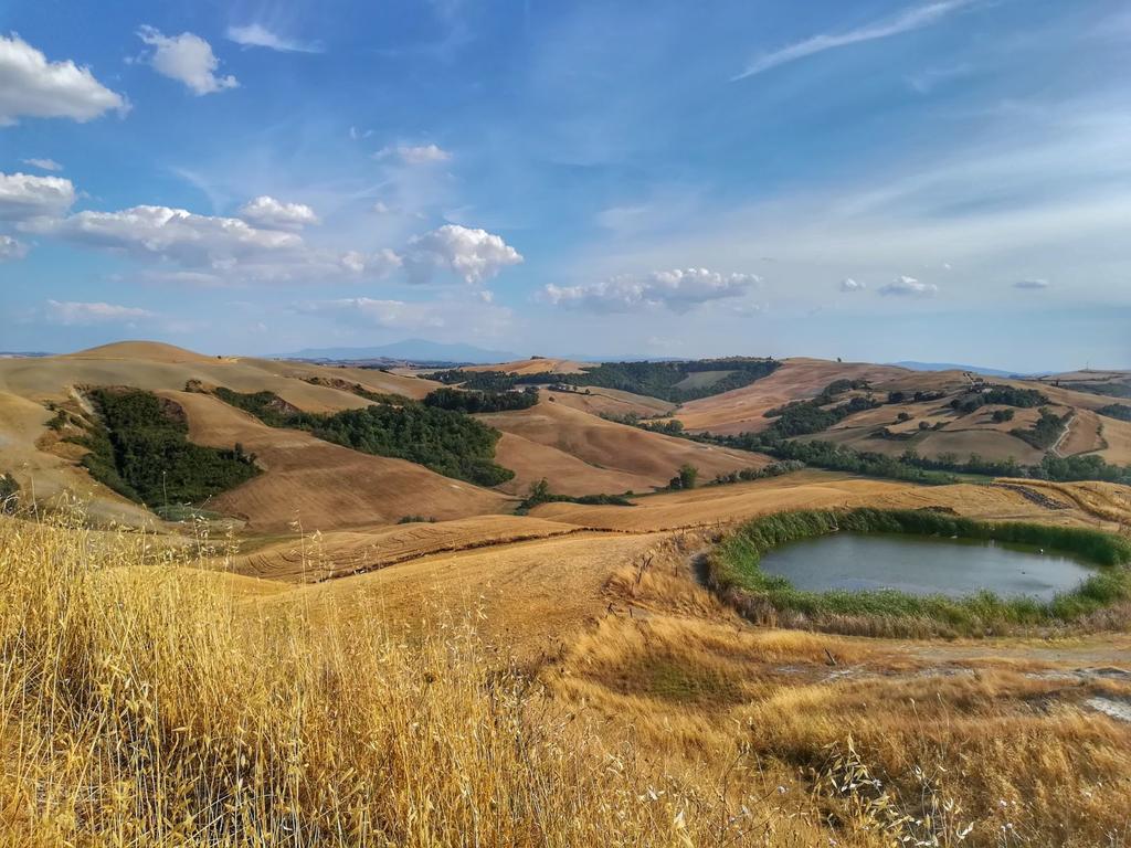 Certine Agriturismo Asciano Kültér fotó