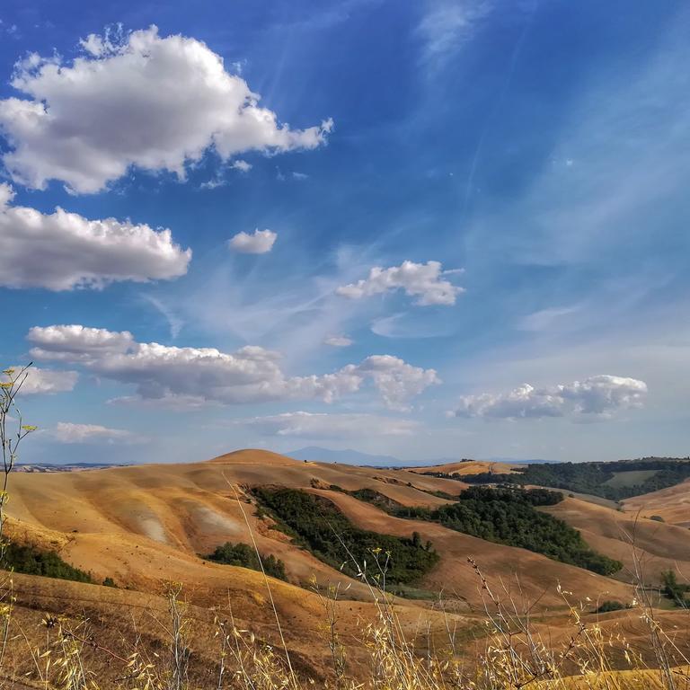 Certine Agriturismo Asciano Kültér fotó